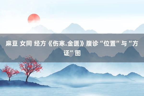 麻豆 女同 经方《伤寒.金匮》腹诊“位置”与“方证”图