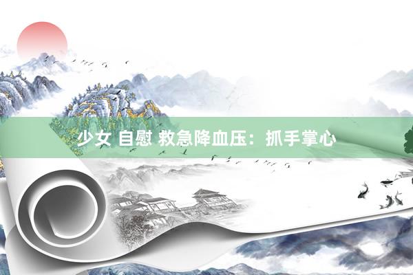 少女 自慰 救急降血压：抓手掌心