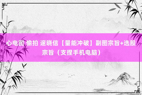 心电图 偷拍 邃晓信【量能冲破】副图宗旨+选股宗旨（支捏手机电脑）