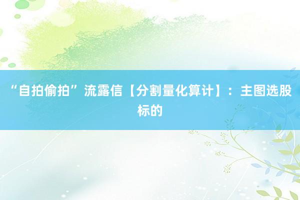 “自拍偷拍” 流露信【分割量化算计】：主图选股标的