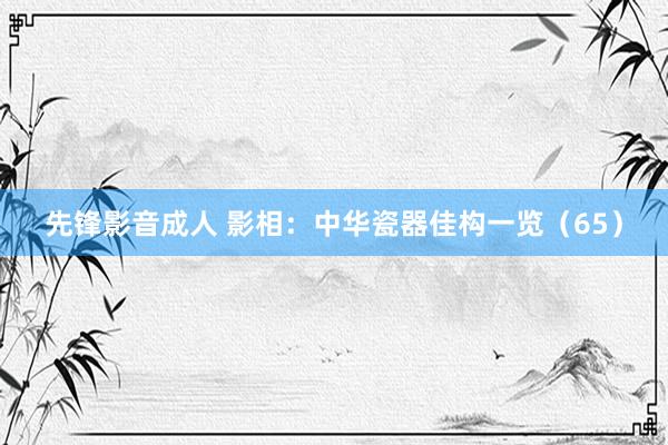 先锋影音成人 影相：中华瓷器佳构一览（65）