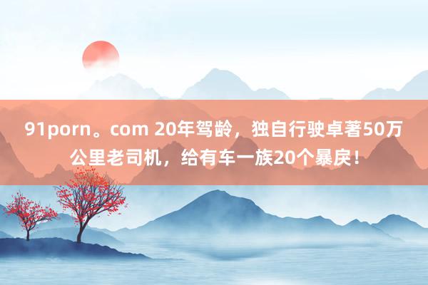 91porn。com 20年驾龄，独自行驶卓著50万公里老司机，给有车一族20个暴戾！