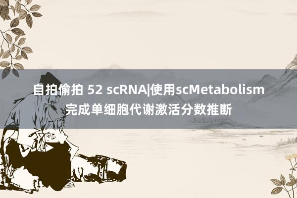 自拍偷拍 52 scRNA|使用scMetabolism完成单细胞代谢激活分数推断